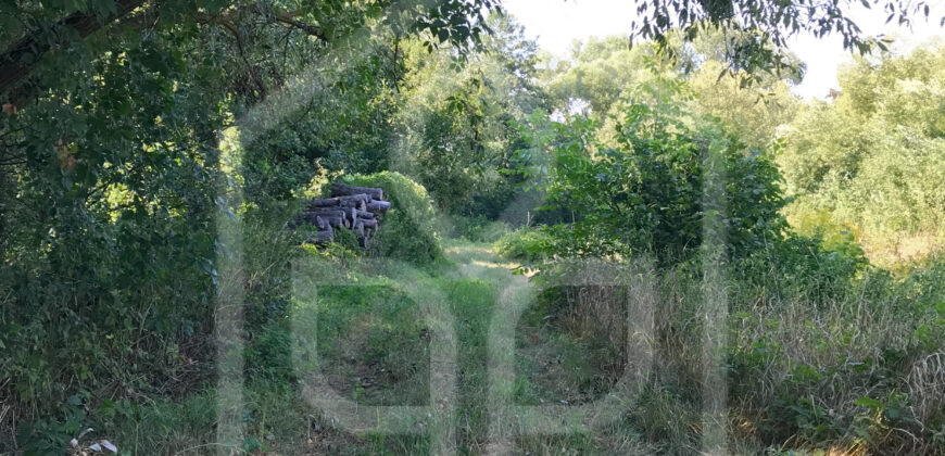 Stavebné pozemky v obci Pálháza